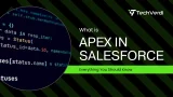 What Is Apex in Salesforce? Everything You Should Know