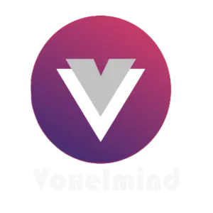 Top Major Tech Companies Founded in San Francisco in 2025 9 VoxelMind