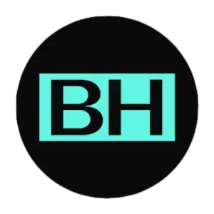 Brainhub
